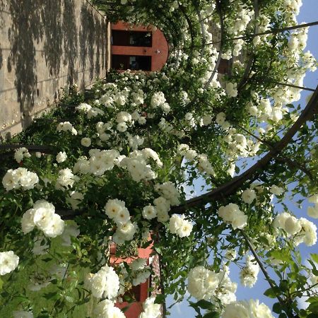 Agriturismo Casale Le Selvette Ripa Exterior photo