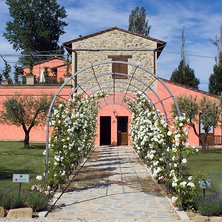 Agriturismo Casale Le Selvette Ripa Exterior photo