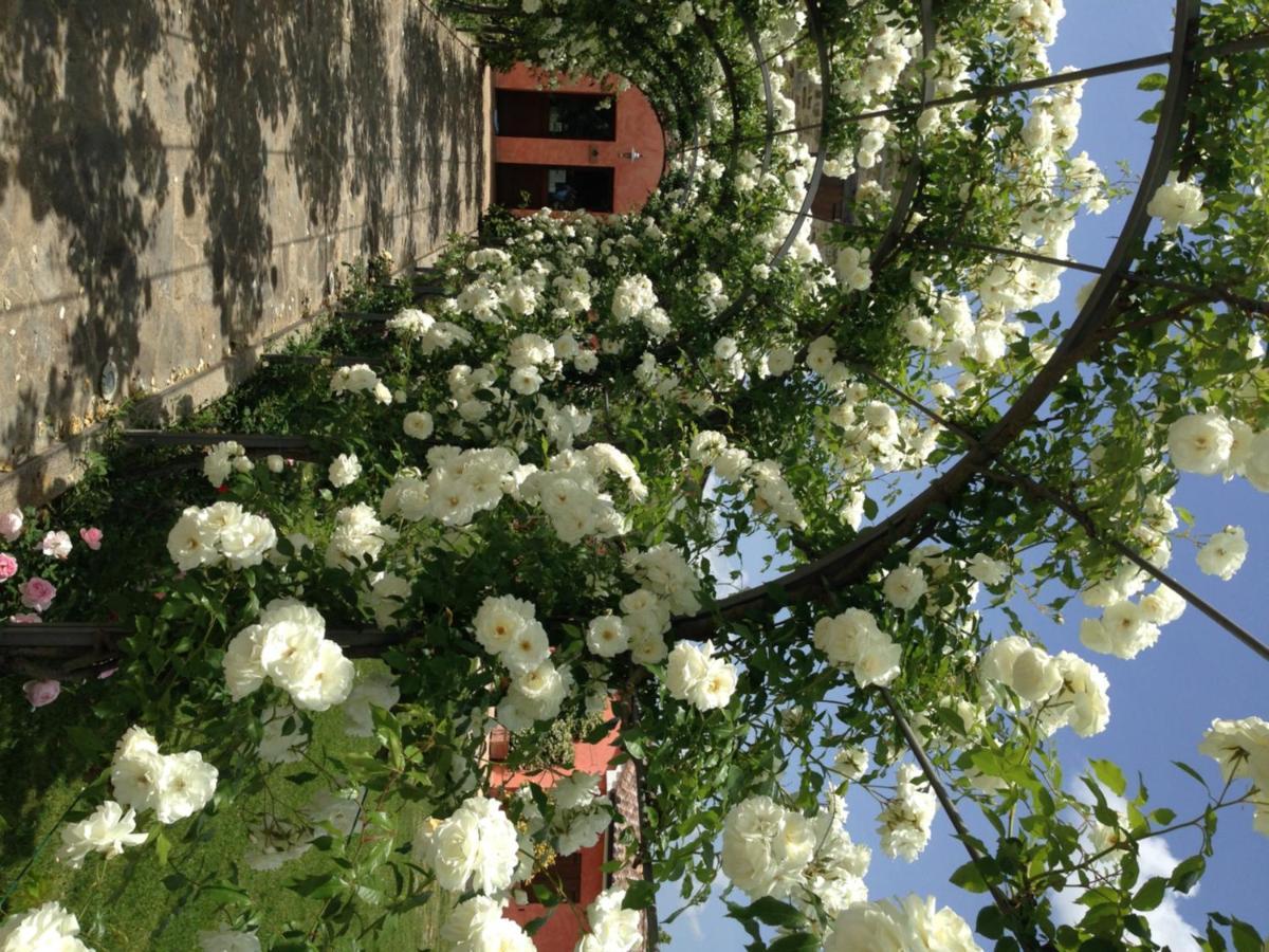 Agriturismo Casale Le Selvette Ripa Exterior photo