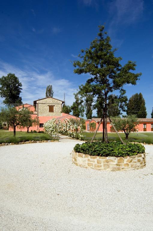Agriturismo Casale Le Selvette Ripa Exterior photo
