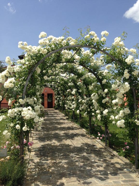 Agriturismo Casale Le Selvette Ripa Exterior photo