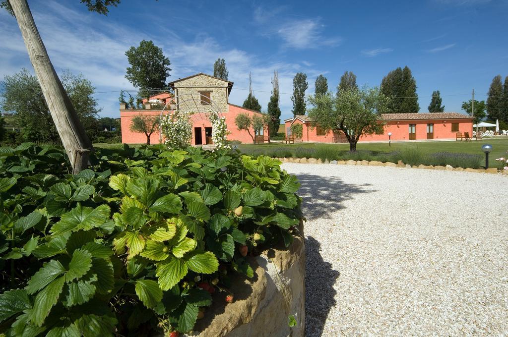 Agriturismo Casale Le Selvette Ripa Exterior photo