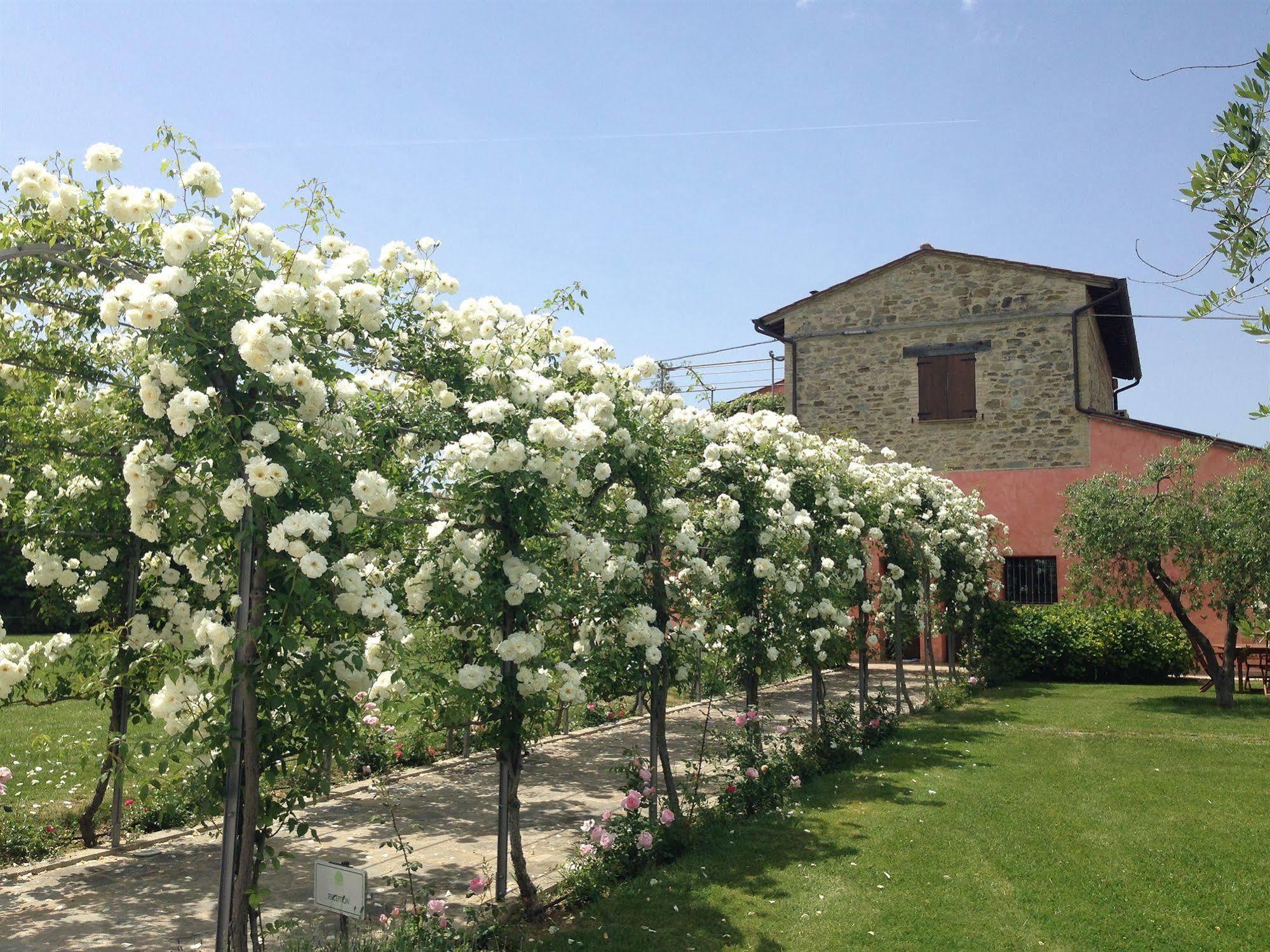 Agriturismo Casale Le Selvette Ripa Exterior photo